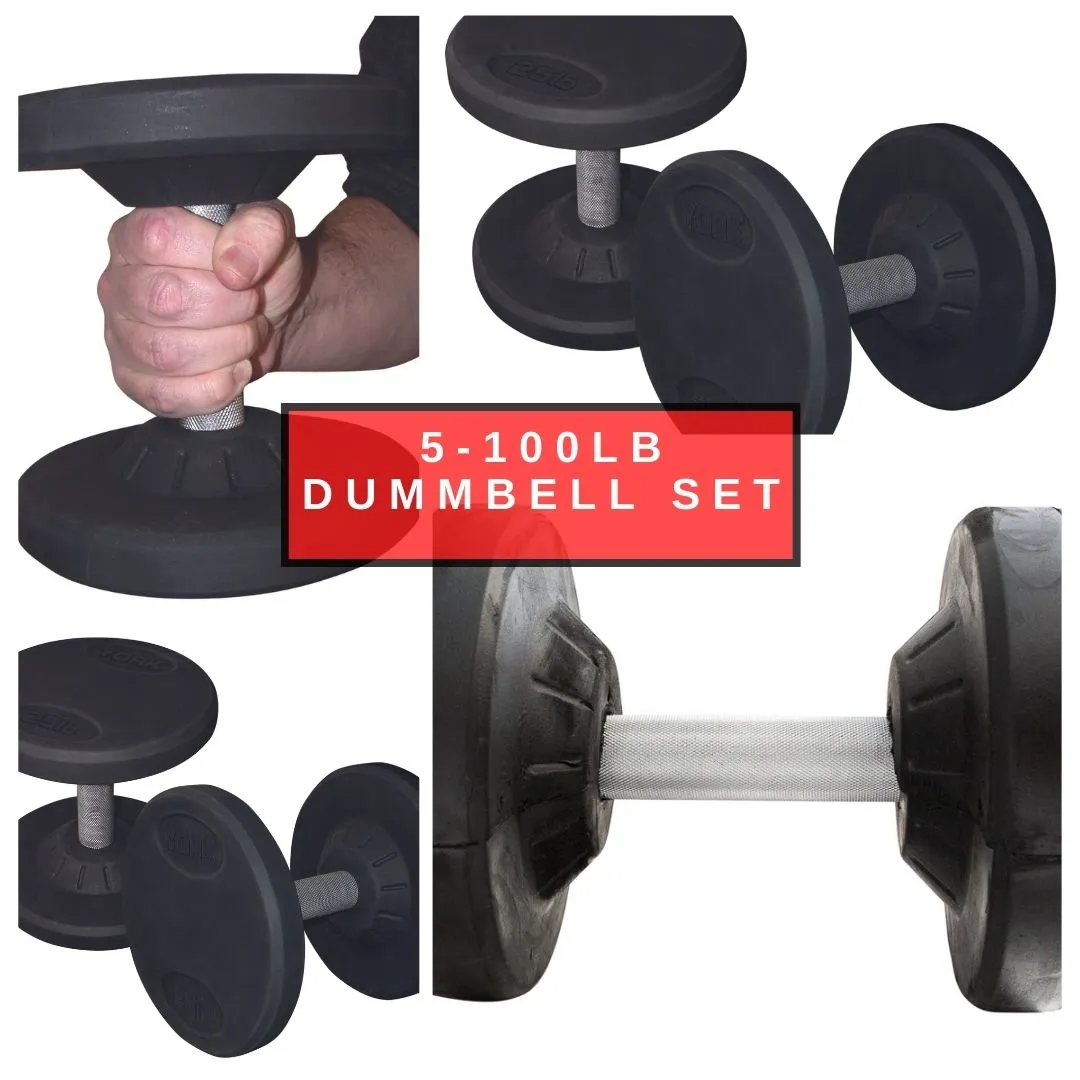 Pro Style 5-100lb Dumbbell Set
